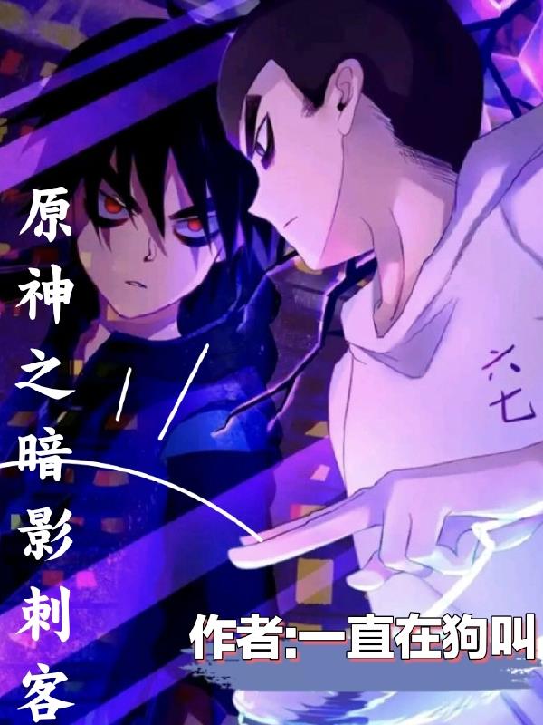 原神之暗影刺客