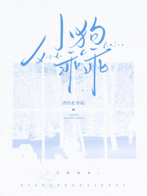 小狗乖乖
